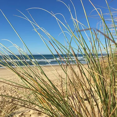 Superb With Terrace Near *